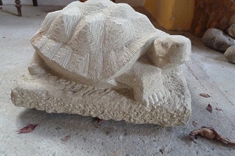 Schildkröte (4).jpg